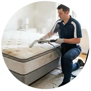 Limpieza profesional de colchon