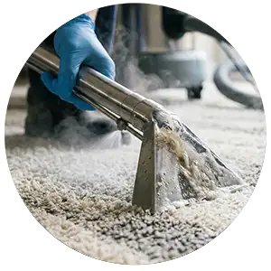 expertos limpiadores de alfombras